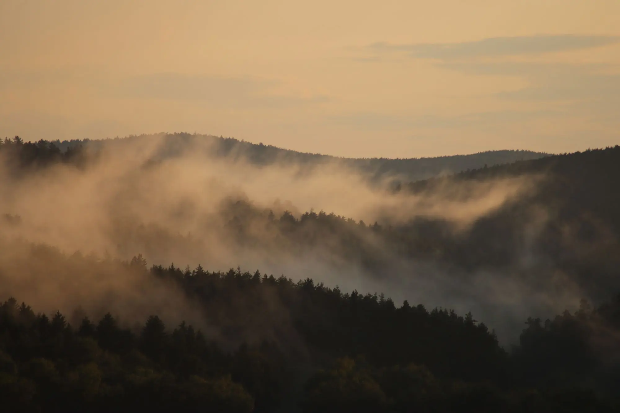 Fog rolling over forested mountains at sunrise